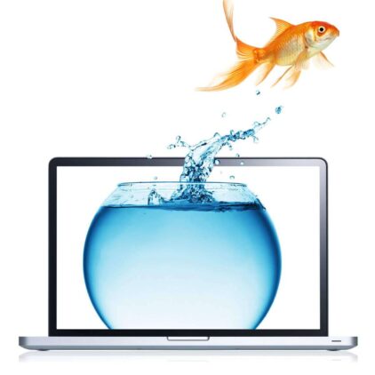advertising online